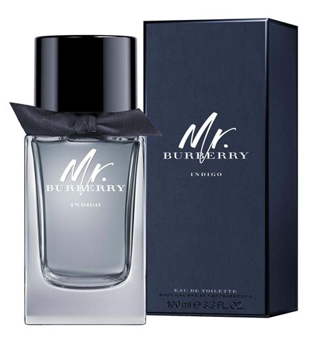 profumo mr burberry indigo|burberry indigo fragrance.